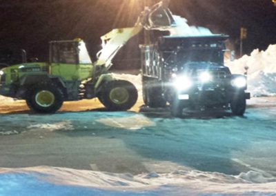 backsnow